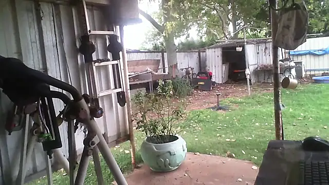 Snapshot of herbie010666 chatting on February 3, 2026, 6:40 am herbie010666 online show from February 3, 2026, 6:40 am