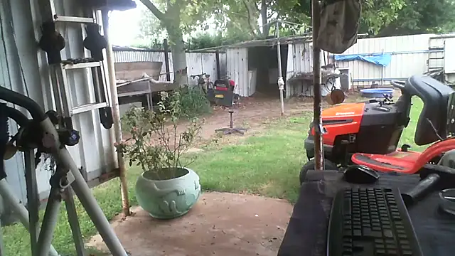 Snapshot of herbie010666 chatting on February 28, 2026, 5:41 am herbie010666 online show from February 28, 2026, 5:41 am