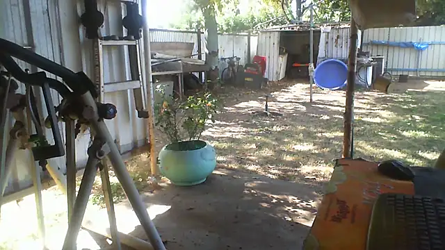 Snapshot of herbie010666 chatting on August 7, 2026, 4:03 am herbie010666 online show from August 7, 2026, 4:03 am