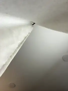 GeorginaJones online show from January 18, 2025, 2:25 am