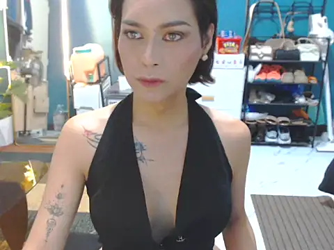 BonaBarrameda online show from June 30, 2026, 7:53 am