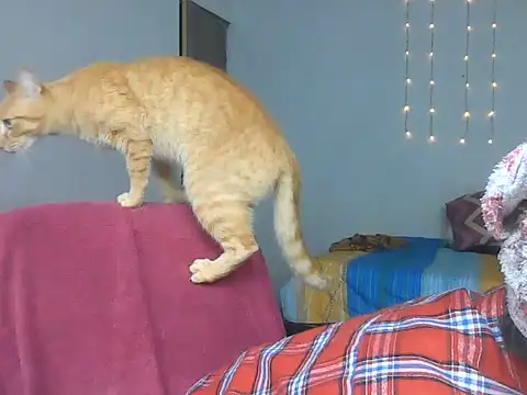 Olivia Bright online show from March 18, 2026, 10:13 pm