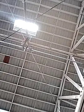 Daddy hook online show from December 17, 2024, 3:17 pm