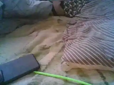 xsexy on91 online show from December 5, 2025, 7:50 am