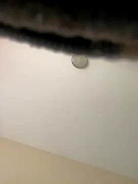 Snapshot of Iced_cloudz chatting on December 14, 2025, 3:17 pm Iced cloudz online show from December 14, 2025, 3:17 pm