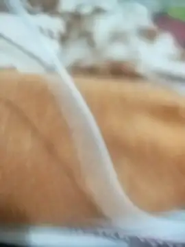 naghmi12 online show from April 13, 2026, 5:51 pm