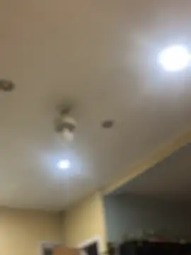 dingoding online show from February 7, 2025, 10:40 am