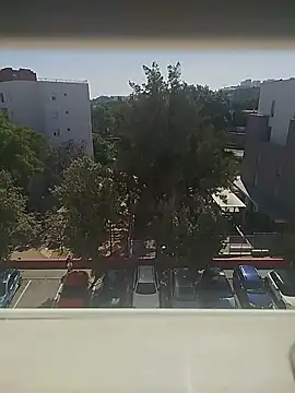 Snapshot of manecas3132 chatting on May 28, 2026, 3:53 pm manecas3132 online show from May 28, 2026, 3:53 pm