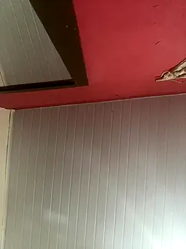 Snapshot of pimenta_gaby chatting on November 30, 2025, 12:20 pm pimenta gaby online show from November 30, 2025, 12:20 pm