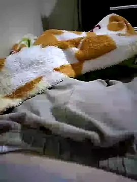 Snapshot of shiiank chatting on May 27, 2026, 3:14 am shiiank online show from May 27, 2026, 3:14 am