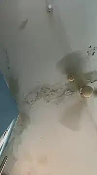 Marino08xh online show from February 19, 2025, 5:16 pm