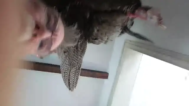 Snapshot of CDforU chatting on February 4, 2026, 5:52 pm CDforU online show from February 4, 2026, 5:52 pm