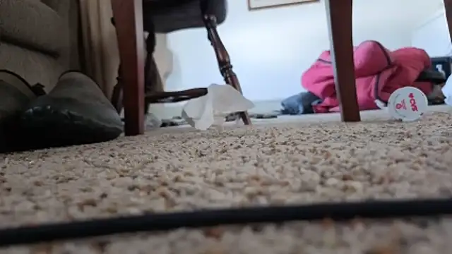 Snapshot of CDforU chatting on February 5, 2026, 6:01 pm CDforU online show from February 5, 2026, 6:01 pm