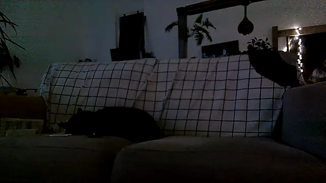 iamsex6969 online show from April 15, 2026, 3:57 am