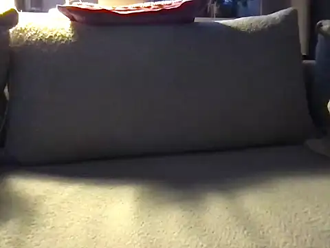 Perwers 41 online show from February 18, 2026, 3:52 pm