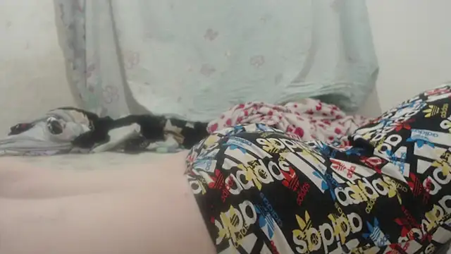 Snapshot of Kittywhiteass chatting on March 16, 2025, 11:57 pm Kittywhiteass online show from March 16, 2025, 11:57 pm