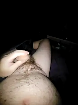 Snapshot of thefox92 chatting on December 29, 2024, 12:41 am thefox92 online show from December 29, 2024, 12:41 am