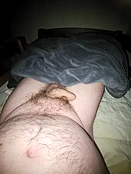 Snapshot of thefox92 chatting on March 17, 2025, 9:33 am thefox92 online show from March 17, 2025, 9:33 am