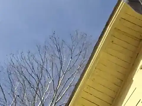 highstepper500 online show from December 26, 2024, 2:12 am