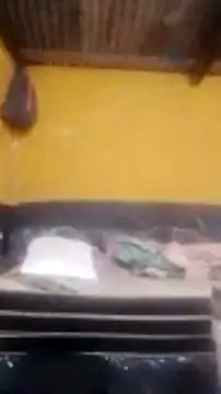 LULE37587001 online show from February 24, 2026, 4:54 am