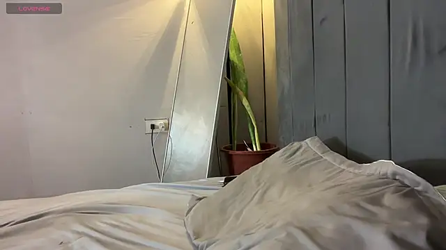 wiggle nibble online show from February 5, 2026, 3:49 pm