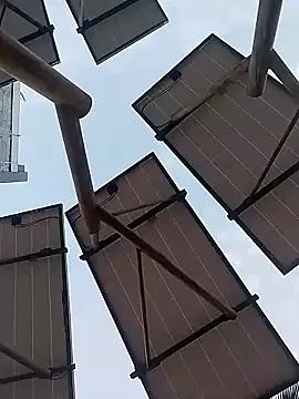 sagrado 1989 online show from January 17, 2026, 12:37 am