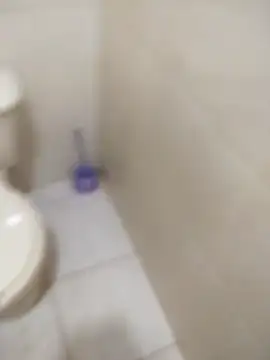 sagrado 1989 online show from February 6, 2026, 1:21 am