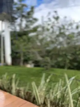 sahorix1 online show from February 16, 2026, 3:30 pm