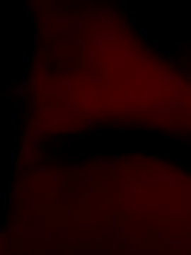 roccosif696 online show from January 25, 2025, 6:46 pm