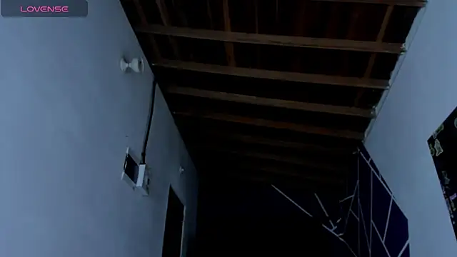 ink demonxxx online show from March 21, 2025, 3:33 am