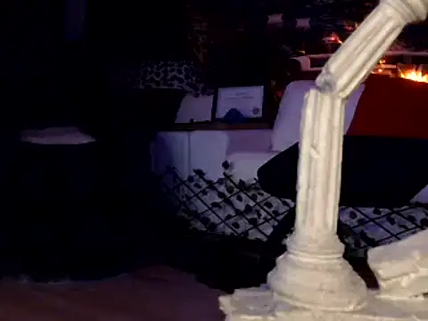 Snapshot of OSIRlS chatting on January 1, 2025, 12:00 pm OSIRlS online show from January 1, 2025, 12:00 pm