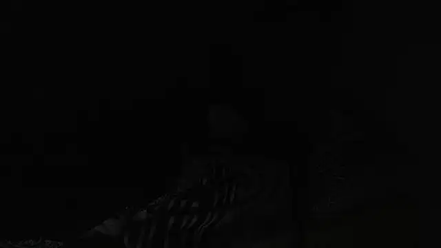 BELINDAXXXXX online show from December 13, 2024, 8:04 pm