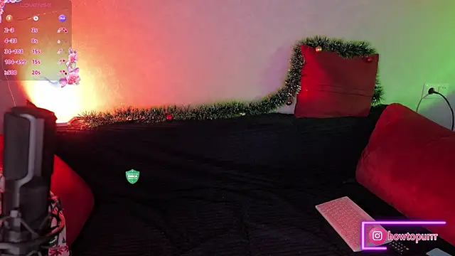 Snapshot of How2Meow chatting on December 24, 2024, 5:23 pm How2Meow online show from December 24, 2024, 5:23 pm