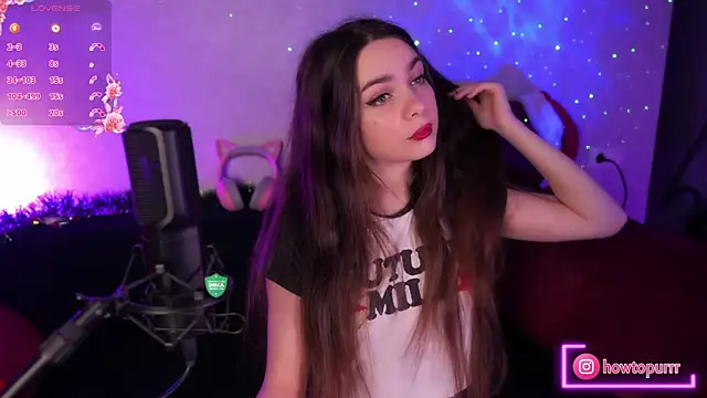 Snapshot of How2Meow chatting on January 28, 2025, 5:24 pm How2Meow online show from January 28, 2025, 5:24 pm