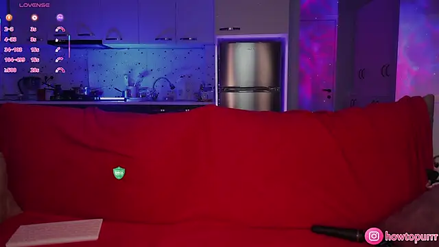 Snapshot of How2Meow chatting on December 2, 2025, 4:46 pm How2Meow online show from December 2, 2025, 4:46 pm