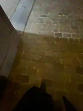 Snapshot of Thepanthera chatting on September 22, 2025, 4:47 am Thepanthera online show from September 22, 2025, 4:47 am