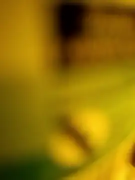 George21ek online show from January 9, 2026, 12:57 am