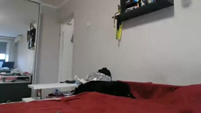 Snapshot of delightful_sofi chatting on November 11, 2025, 12:27 pm delightful sofi online show from November 11, 2025, 12:27 pm