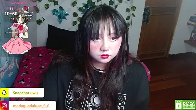 litlle cat online show from January 14, 2025, 5:30 am