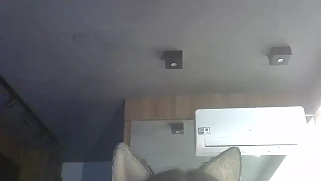 Skinny-Kitten online show from December 1, 2025, 9:47 am