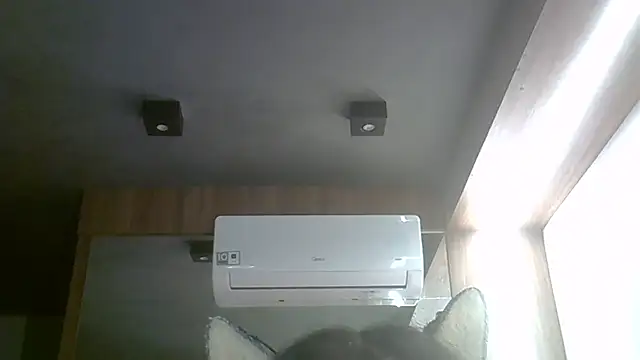 Skinny-Kitten online show from April 3, 2026, 9:40 am