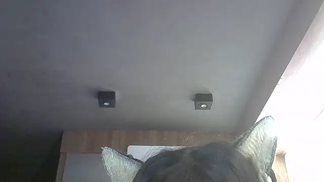 Snapshot of Skinny-Kitten chatting on May 12, 2026, 11:51 am Skinny-Kitten online show from May 12, 2026, 11:51 am