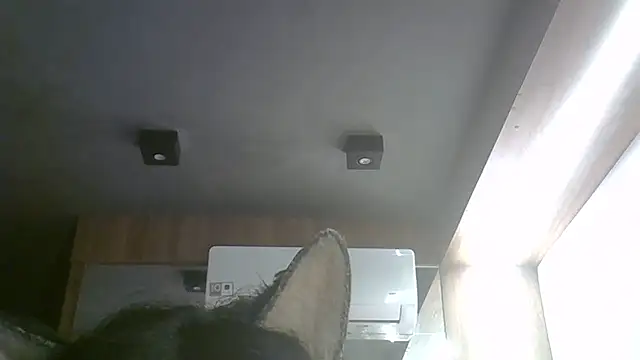Snapshot of Skinny-Kitten chatting on May 17, 2026, 11:17 am Skinny-Kitten online show from May 17, 2026, 11:17 am