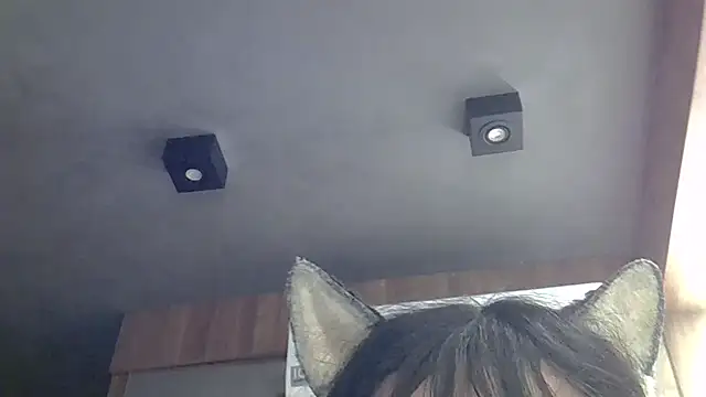 Snapshot of Skinny-Kitten chatting on May 20, 2026, 2:29 am Skinny-Kitten online show from May 20, 2026, 2:29 am