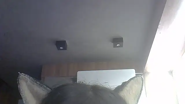 Snapshot of Skinny-Kitten chatting on May 27, 2026, 4:37 pm Skinny-Kitten online show from May 27, 2026, 4:37 pm