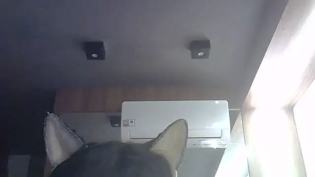 Snapshot of Skinny-Kitten chatting on May 28, 2026, 4:59 pm Skinny-Kitten online show from May 28, 2026, 4:59 pm