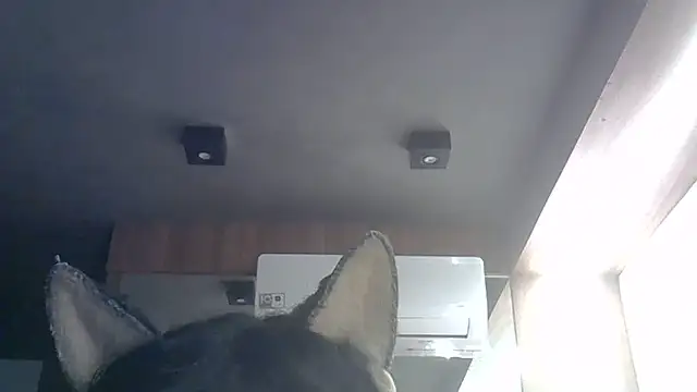Snapshot of Skinny-Kitten chatting on May 29, 2026, 9:29 am Skinny-Kitten online show from May 29, 2026, 9:29 am