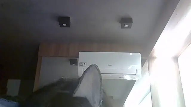 Snapshot of Skinny-Kitten chatting on May 30, 2026, 6:38 pm Skinny-Kitten online show from May 30, 2026, 6:38 pm