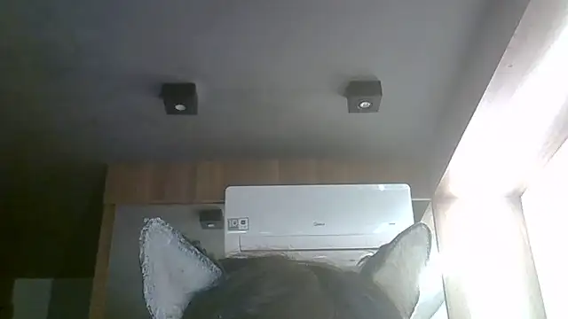 Snapshot of Skinny-Kitten chatting on June 1, 2026, 3:47 pm Skinny-Kitten online show from June 1, 2026, 3:47 pm