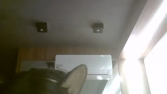 Snapshot of Skinny-Kitten chatting on June 17, 2026, 3:46 pm Skinny-Kitten online show from June 17, 2026, 3:46 pm